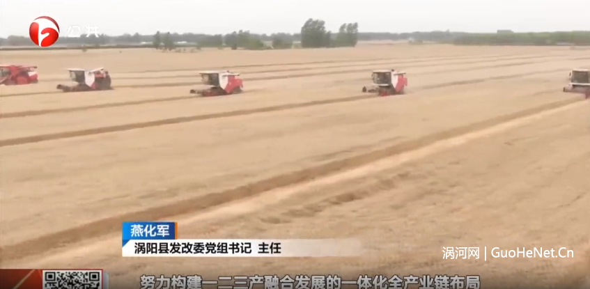 渦陽:“大糧倉”邁向“大廚房”